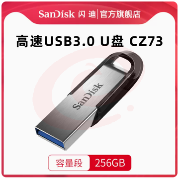 U盘闪迪256G优盘CZ73高速加密U盘(黑/蓝两色可选）