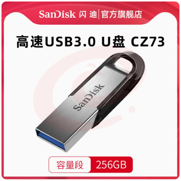 U盘闪迪256G优盘CZ73高速加密U盘(黑/蓝两色可选） SKU：YDKJ04192