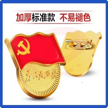 党徽 别针款党徽