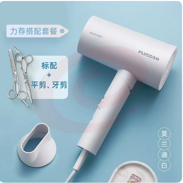飞科吹风机家用大功率负离子恒温速干护发电吹风宿舍用学生风筒机