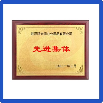 金箔奖牌 授权牌铜牌20*25cm 定制荣誉牌木质奖牌牌匾