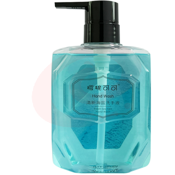 瓶装海盐洗手液家用抑菌保湿滋润不伤手留香型儿童可用 500ML  3种香型可选