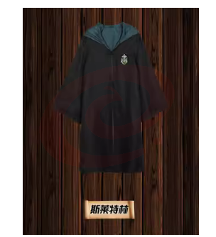 万圣节巫袍 斯莱特林