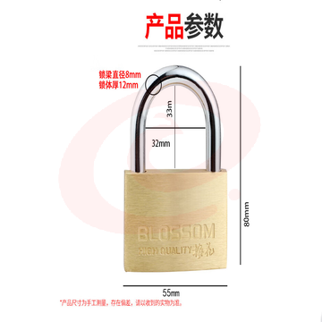 梅花（BLOSSOM）铜挂锁 55mm（076） 防水防锈家用锁具 宿舍挂锁柜门锁 防盗窗锁头55mm（076）