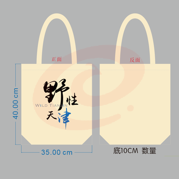 帆布袋，白色，含拉链 （100个起订）