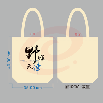 帆布袋，白色，含拉链 （100个起订） SKU：YDKJ05914