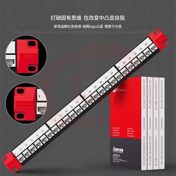 安普康(AMPCOM)24口免打配线架超五类机房机柜接线直通式CAT5E非屏蔽免压接服务器网络分线布线架 AMC5E024WT