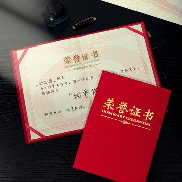 DSB 大12K绒面经典款荣誉证书获奖证书颁奖证书奖状证书证书外壳 10本装【附20张内芯】050808
