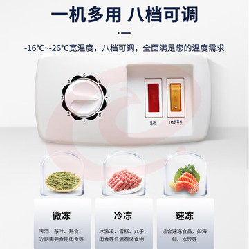 澳柯玛（AUCMA）商用雪糕柜 篮筐镀膜玻璃门冷冻柜 小型卧式雪糕展示柜 超市速冻冷柜 上下推拉 SD-100FC