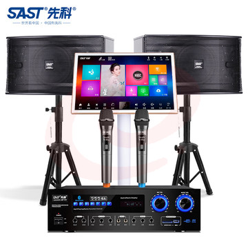 先科(SAST) D20 家庭影院ktv音响套装点歌机一体机家用功放机卡拉OK音箱点唱机卡包音箱设备 10英寸