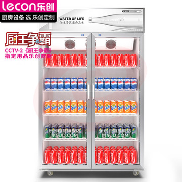 乐创(lecon)双开门展示柜冷藏保鲜柜商用啤酒柜水果饮料超市便利店风冷 LC-ZSG02