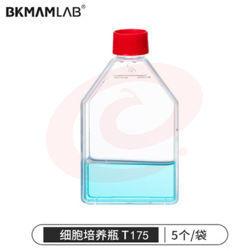 比克曼生物（BKMAM）细胞培养瓶密封透气盖矩形斜颈 实验耗材 T175(5个/袋) 1袋 (zhyghf_221722043)