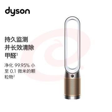 戴森 DYSON TP09 除菌除甲醛空气净化风扇 整屋循环净化 兼具空气净化器功能白金色
