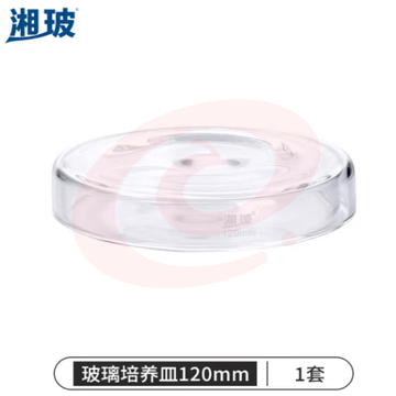 比克曼生物 湘玻 玻璃培养皿平皿加厚耐高温酸碱细菌细胞培养皿高硼硅实验室器皿 120mm 高硼硅料 (zhyghf_221721552)