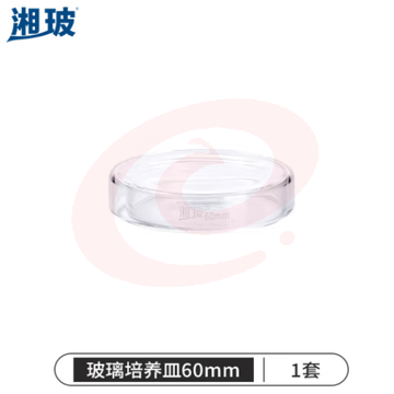 比克曼生物 湘玻 玻璃培养皿平皿加厚耐高温酸碱细菌细胞培养皿高硼硅实验室器皿 60mm 高硼硅料 (zhyghf_221721548)