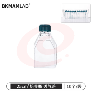 比克曼生物（BKMAM）细胞培养瓶密封透气盖矩形斜颈瓶组织培养TC处理 25cm² 10个/袋 (zhyghf_221722041) SKU：YDKJ11626