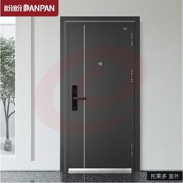 盼盼（Pan Pan）盼盼防盗门别墅大门甲级家用安全门指纹锁子母门单门入户进户门 托莱多-单门-2050*960-外开 机械锁 (zhyghf_40011177)