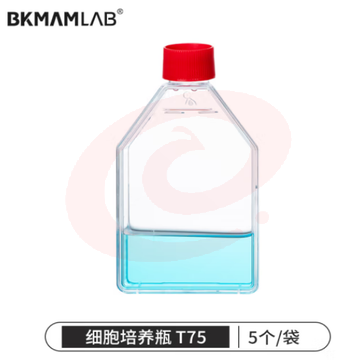 比克曼生物（BKMAM）细胞培养瓶密封透气盖矩形斜颈瓶组织培养TC处理 75cm² 5个/袋 (zhyghf_221722042) SKU：YDKJ11625