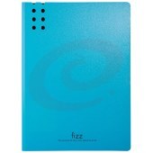 飞兹 A2385 加厚A4单强力文件夹板(含插页)彩色档案夹/办公用品 天蓝