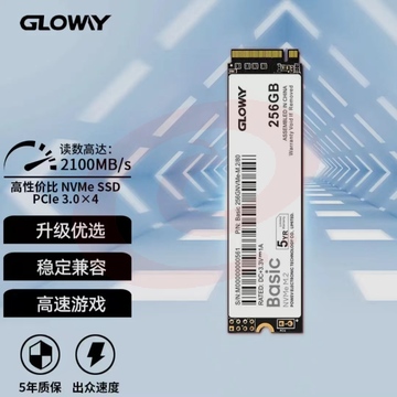 光威 256GB SSD固态硬盘 M.2接口(NVMe协议) Basic-基础版 TLC颗粒