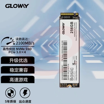 光威 256GB SSD固态硬盘 M.2接口(NVMe协议) Basic-基础版 TLC颗粒 SKU：YDKJ14944