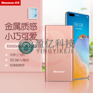纽曼 （Newmine ）移动电源10000毫安时双USB输出Type-C输入金属充电宝M106