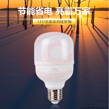 佛山照明(FSL)LED灯泡 E27大螺口节能灯 柱形 球泡42W白光6500K亮霸 SKU：YDKJ18332