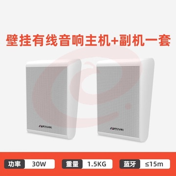 山水（SANSUI）壁挂蓝牙音响套装组合T11 有线蓝牙主机+副机*1个 单位：套