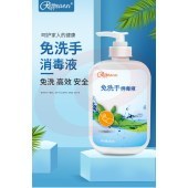 瑞普安 免洗洗手液 500ml 单位：瓶 SKU：YDKJ17817