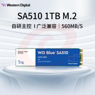 西部数据（WD) 1TB 笔记本台式机电脑 SSD固态硬盘 SA510 SATA M.2接口 Blue系列 3D技术  WDS100T3B0B  pcyg-230625184148 SKU：YDKJ18747