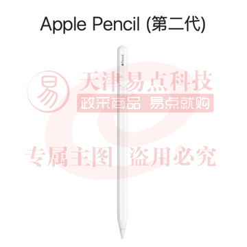 Apple Pencil (第二代) 适用于 2022/2021款12.9 英寸和11英寸iPad Pro/2022款10.9英寸iPad Air（可当天配送发货）