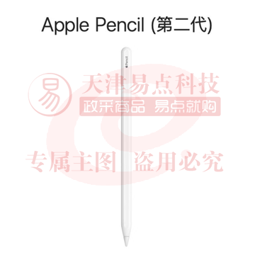 Apple Pencil (第二代) 适用于 2022/2021款12.9 英寸和11英寸iPad Pro/2022款10.9英寸iPad Air（可当天配送发货） SKU：YDKJ20093