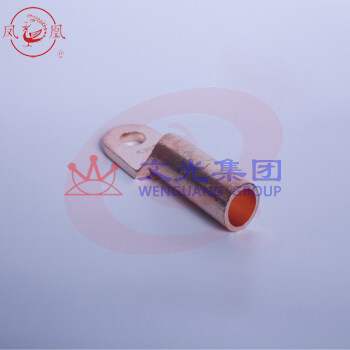 凤凰 DT--10国标A型 铜端子铜鼻子（可当天配送发货）