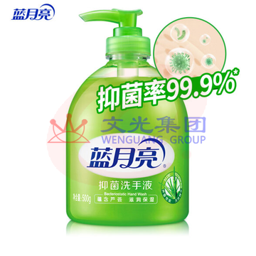 蓝月亮洗手液 芦荟抑菌 500g/瓶 （可当天配送发货）
