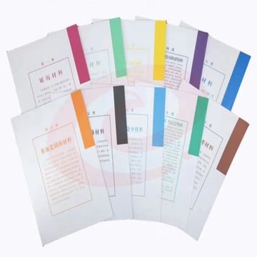 巨联 A4 干部人事档案分页纸 10张/套(单位 套)