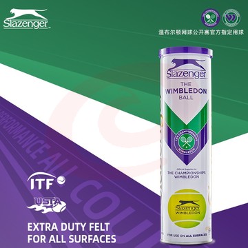 史莱辛格（Slazenger） 网球温网用球铁罐/胶罐训练比赛施莱辛格豹子球练习340939 铁罐四粒装/1筒340940