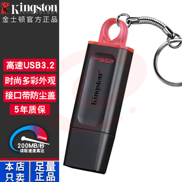 金士顿(Kingston)256GB USB3.2 Gen 1 U盘 DTX 时尚设计 轻巧便携
