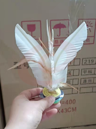 牛筋底毽子