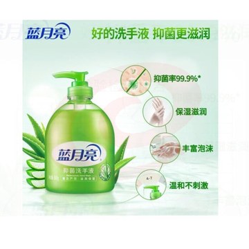 蓝月亮 瓶装芦荟抑菌洗手液 500g bwsj-230208181151