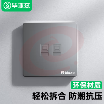 毕亚兹 网络面板 双网口网线电脑插座双扣面板 适用网络电话信息模块 超5/6/7类86型面板灰色双口 1个装TT53