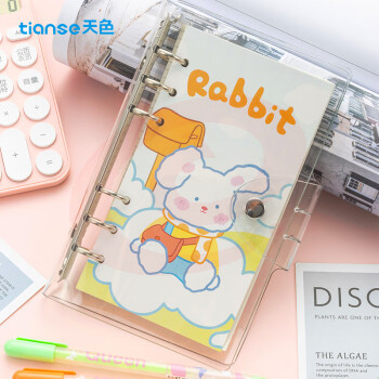 天色（TIANSE）A6手账本活页本迷你口袋本 TS-4157 白云兔