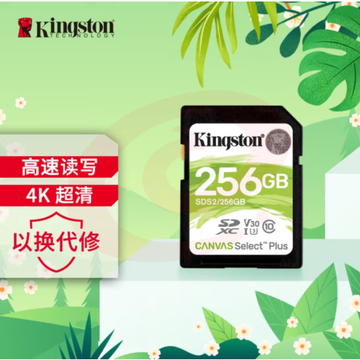 金士顿（Kingston）256GB SD存储卡