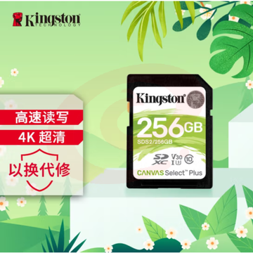 金士顿（Kingston）256GB SD存储卡 SKU：YDKJ32869