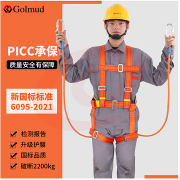 哥尔姆 安全带 安全绳高空作业绳 高空作业安全带 双钩 电工保险带 全身式 五点式 TE双小钩5米
