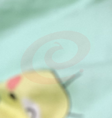 矿泉  596*24
