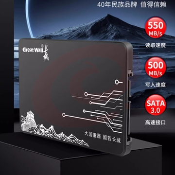 长城（Great Wall）GW600 SSD固态硬盘2.5寸SATA接口台式机笔记本硬盘大容量电脑硬盘老电脑升级扩容 读速高达530MB/s 256GB