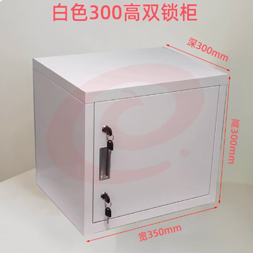桌面密码箱 文件箱 办公铁皮  双锁白色300*350*300单层