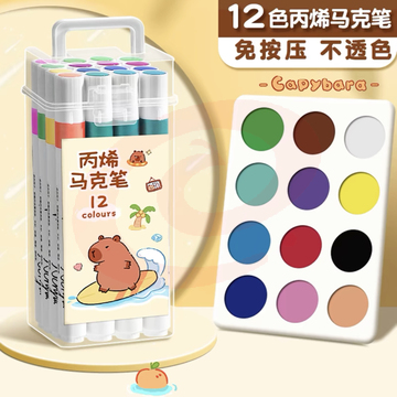 得力丙烯马克笔12色