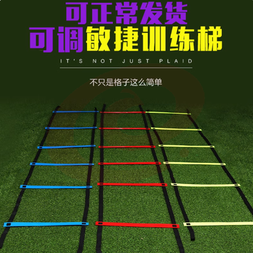 绳梯敏捷梯跳格梯足球训练器材体能训练梯速度梯步伐梯篮球训练  加厚款7米13节【颜色随机】