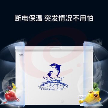 澳柯玛(AUCMA)323升卧式家用商用大容量冰柜 冷藏冷冻转换冷柜 单箱变温顶开冰箱 BC/BD-323NE